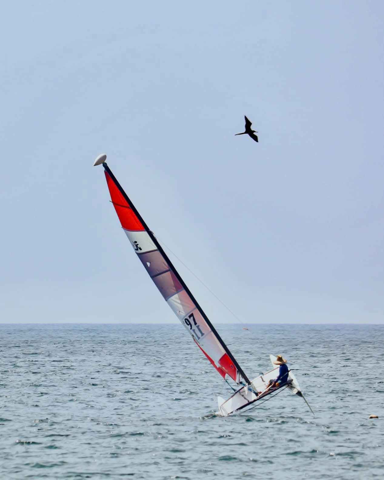 Galería de Veleros Zihuatanejo